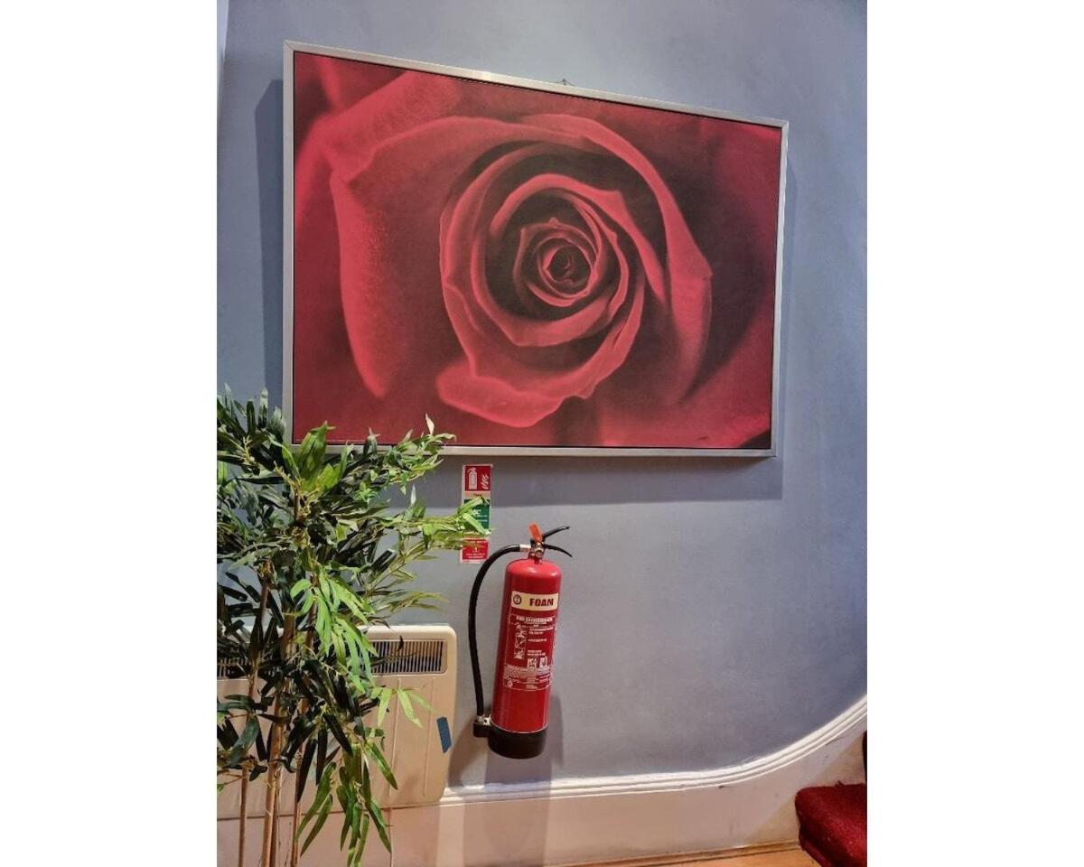 F302-3Rd Floor Studio For 2 Near Hyde Park 伦敦 外观 照片